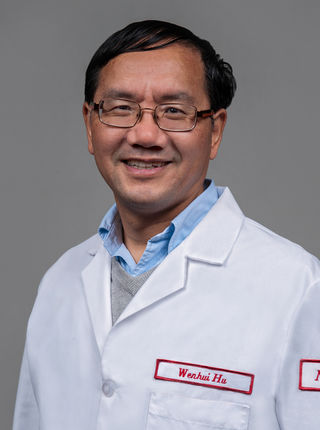 Wenhui Hu, MD, PhD