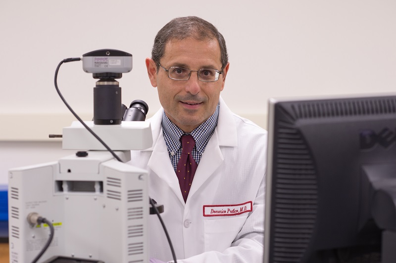 Domenico Praticò, MD, Professor in the Center for Translational Medicine