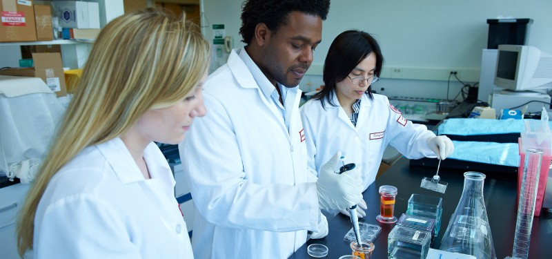 Students perform research in a lab for the Center for Substance Abuse Research (CSAR)