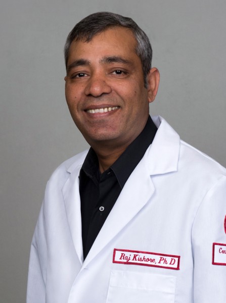 Raj Kishore, PhD