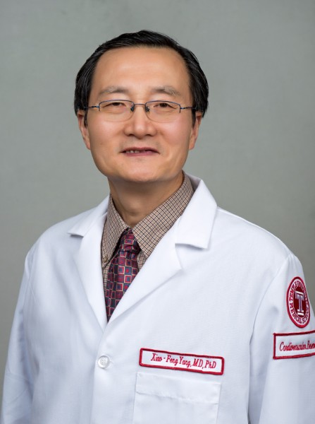 Xiao-Feng Yang, MD, PhD, FAHA