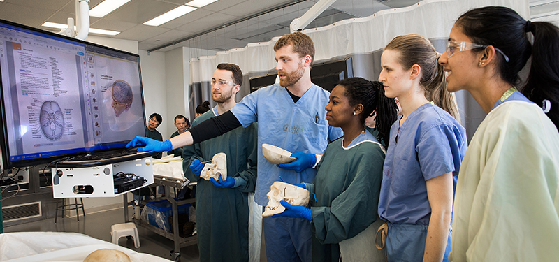 Temple Postbac students have the opportunity to shadow clinical faculty.