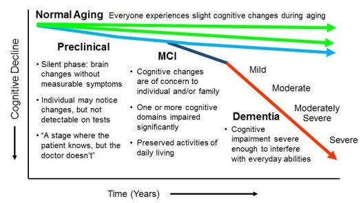 Pas op scheiden melk wit Mild Cognitive Impairment | Lewis Katz School of Medicine at Temple  University