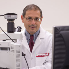 Domenico Praticò, MD, Professor in the Center for Translational Medicine at the Lewis Katz School of Medicine  at Temple University (LKSOM)
